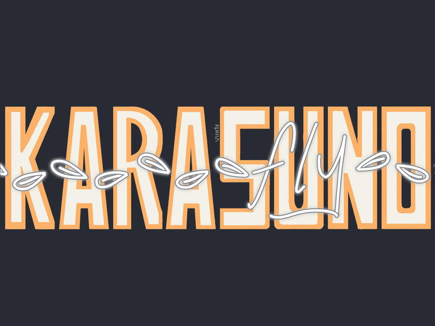 karasuno banner